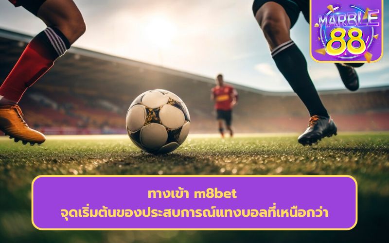 แทงบอล m8bet