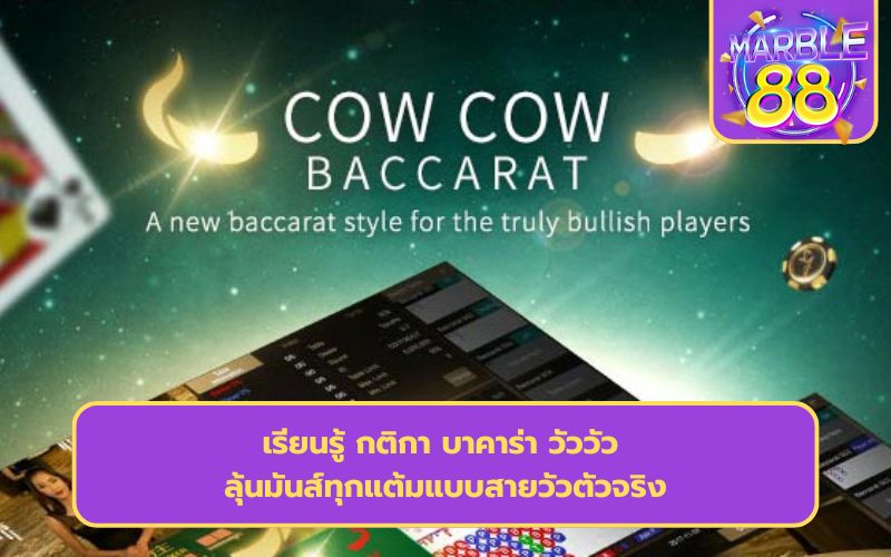 กติกา บาคาร่า วัววัว