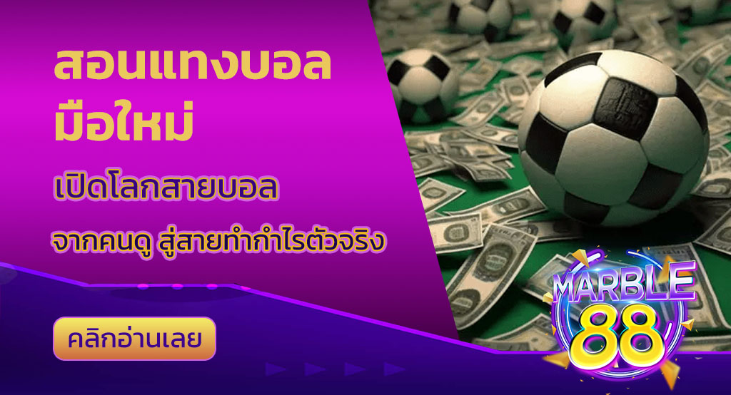 สอนแทงบอล มือใหม่